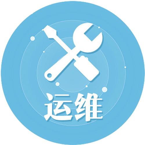 IT驻场服务 全球500强企业的嵌入式技术支持与创新驱动