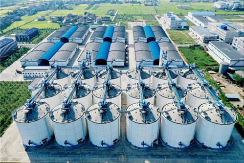 湖南春耕 不只是泥巴味，更是技术服务的芬芳